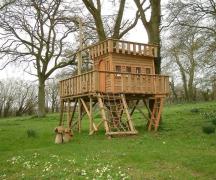 Building a tree house - a dream come true and a favorite vacation spot