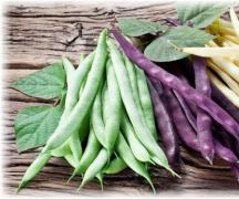 Vegetable and asparagus beans (differences)