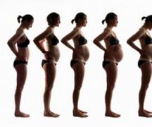 All trimesters of pregnancy by week, indicating the most dangerous periods