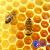Honig, Honigarten, seine medizinischen Eigenschaften, die Verwendung von Honig in der Volksmedizin Honig, seine Eigenschaften und Verwendungsmöglichkeiten